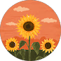 Three sunflowers with green leaves stand against an orange sky with clouds.